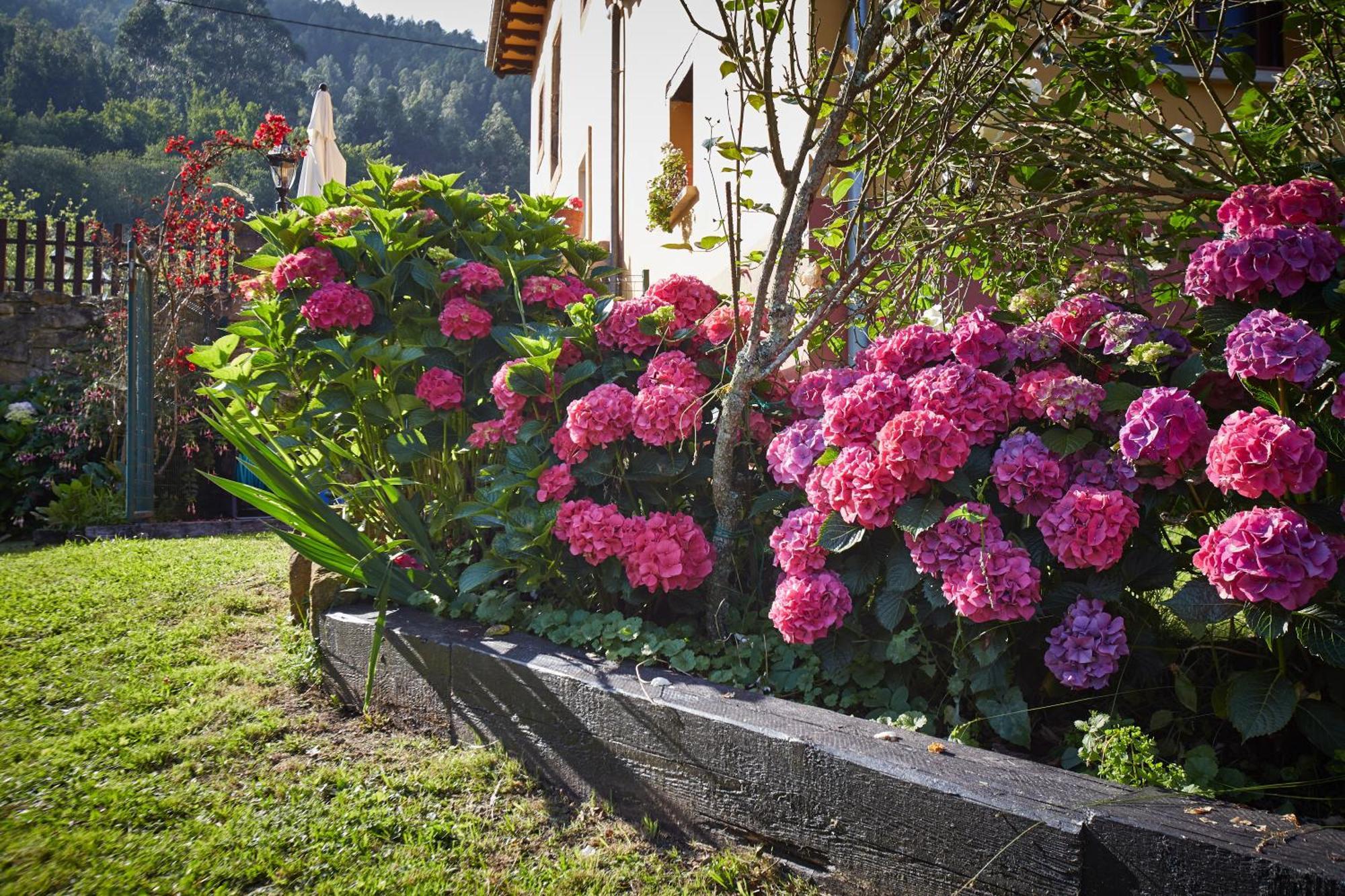 Casa Rural Casa Capion Villaviciosa  Exteriér fotografie